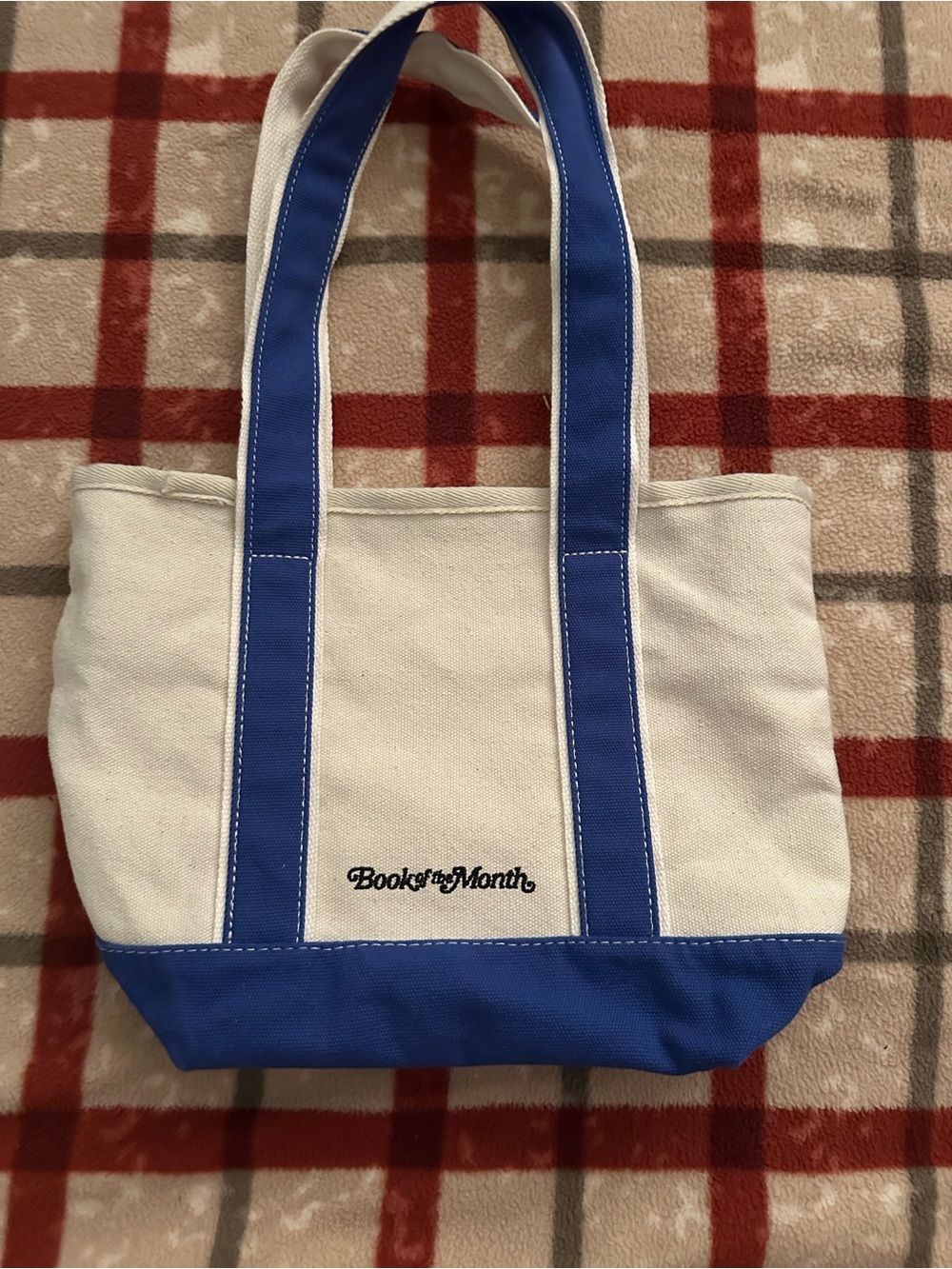 BOOK OF THE MONTH Bookish Canvas Tote Bag in White and Blue - Picture 2 of 4